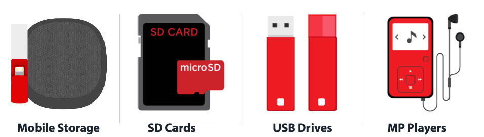 SD Cards and Flash Drives Data Recovery SD Cards and Flash Drives Data Recovery